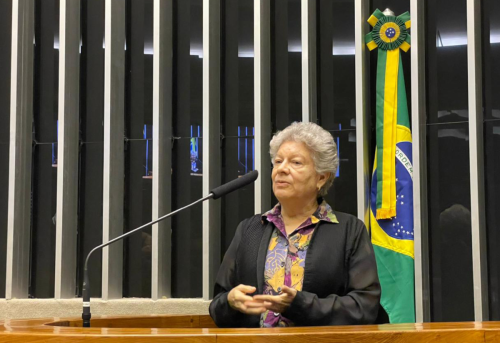 Assessoras da CRB Nacional participam da sessão solene na Câmara dos Deputados, em Brasília (DF), em homenagem à Campanha da Fraternidade 2023
